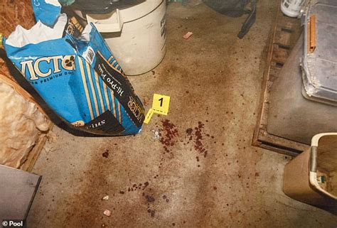 alex murdaugh crime scene pictures|Chilling photos reveal bloody crime scene where Maggie and Paul ...